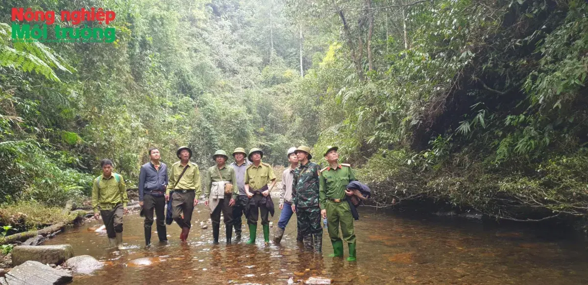 Bài 47: Những bước chân không mỏi của những người giữ rừng Văn Bàn