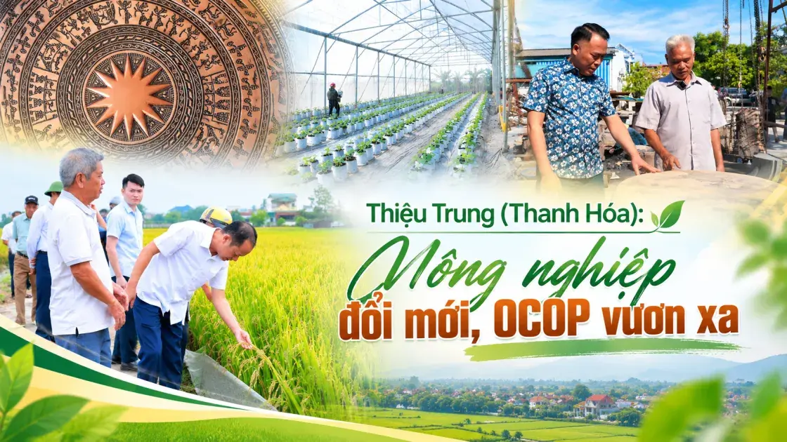 Thiệu Trung: Nông nghiệp đổi mới, OCOP vươn xa