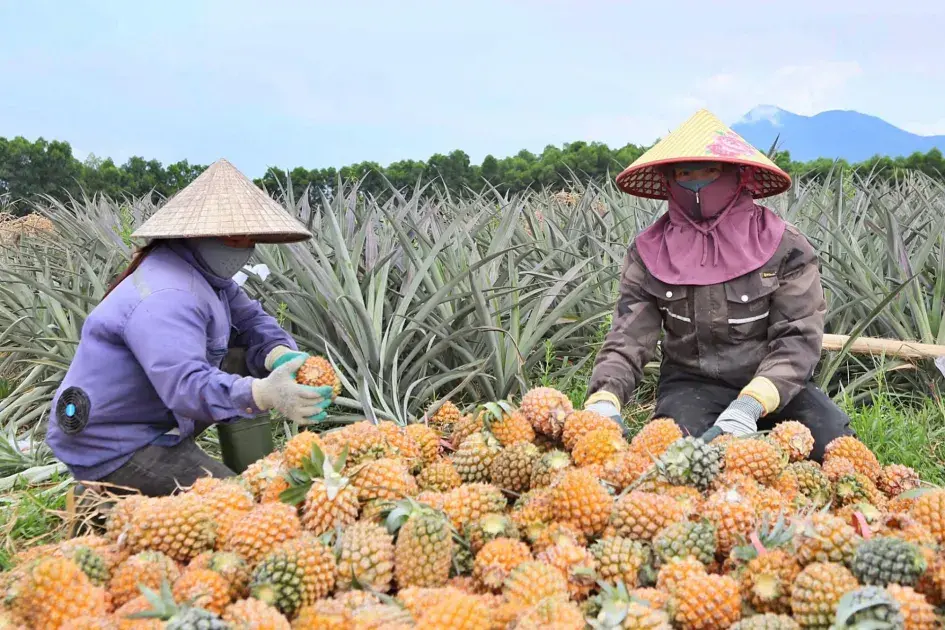 Một số điểm mới của Luật Khoa học, Công nghệ  và Đổi mới sáng tạo