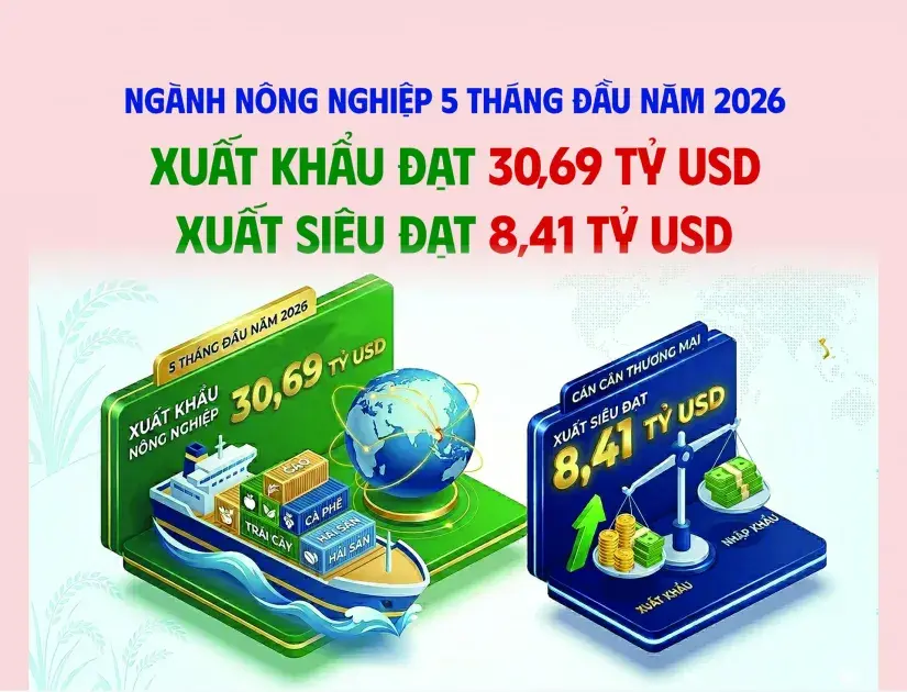 Ngành Nông nghiệp duy trì đà tăng trưởng tích cực, xuất siêu đạt hơn 8,4 tỷ USD