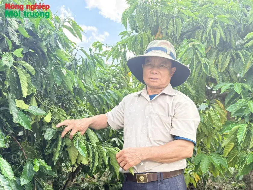 Người cựu chiến binh phát triển nông nghiệp tuần hoàn trên vùng đất khó