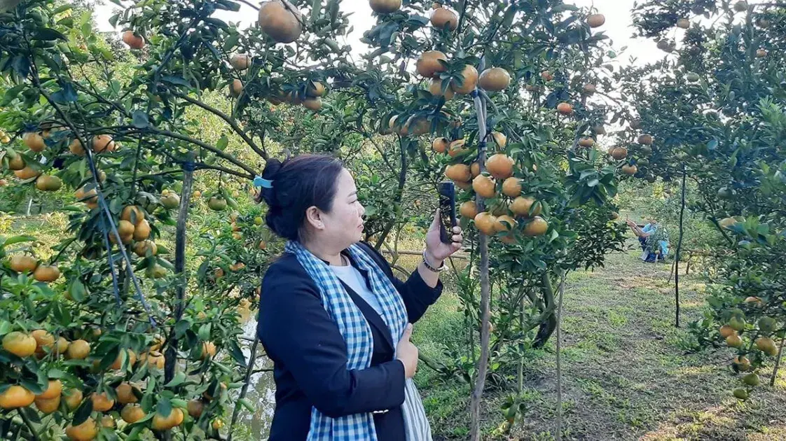 Đồng Tháp đẩy mạnh truy xuất nguồn gốc
