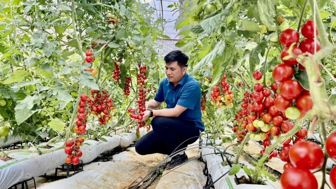 Nghị quyết 57-NQ/TW là luồng gió mới, tạo động lực, niềm tin cho các nhà khoa học