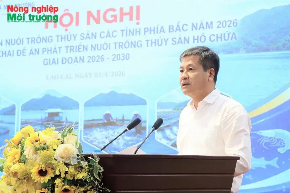 Lào Cai phát huy tiềm năng hồ chứa, tạo đột phá phát triển nuôi trồng thủy sản bền vững