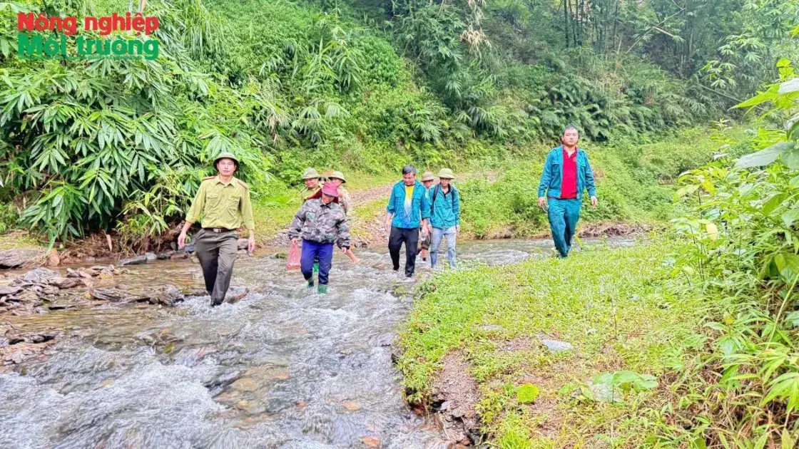 Bài 41: Phú Thọ - Khi người dân cùng giữ rừng Yên Lập