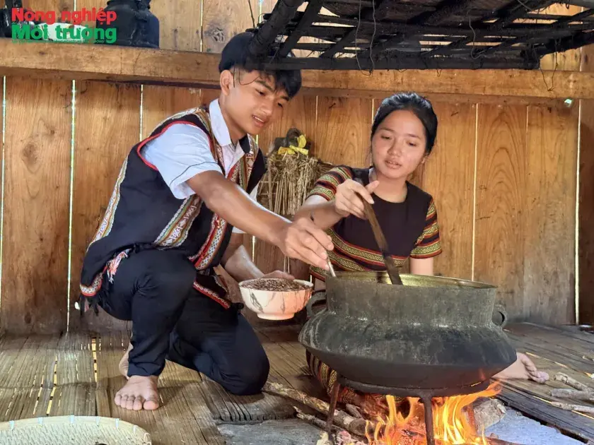 Nâng tầm giá trị "hạt ngọc" núi rừng