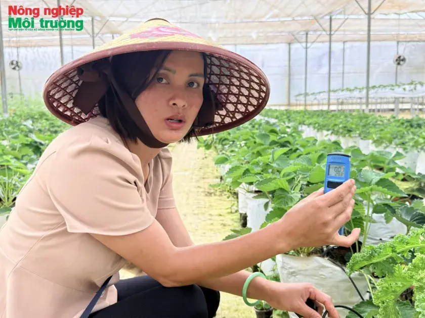 Nghị quyết 57 tạo động lực chuyển đổi số nông nghiệp, môi trường ở Quảng Ngãi