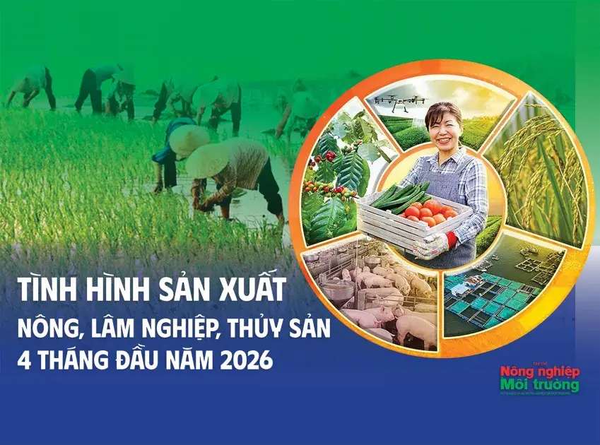 Tình hình sản xuất nông, lâm nghiệp và thủy sản 4 tháng đầu năm 2026