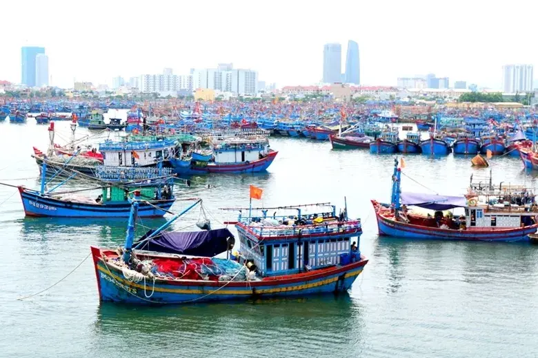 Vi phạm nghiêm trọng trong khai thác thủy sản bị phạt tới 1 tỷ đồng