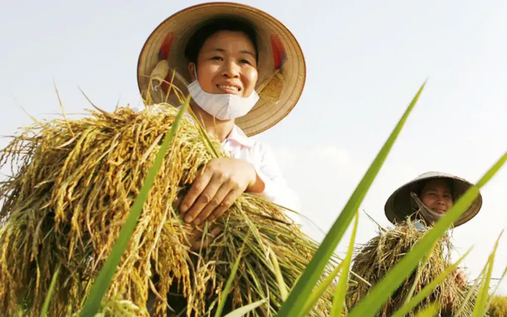 Xây dựng chủ thể trong phát triển nông, lâm nghiệp hiện đại