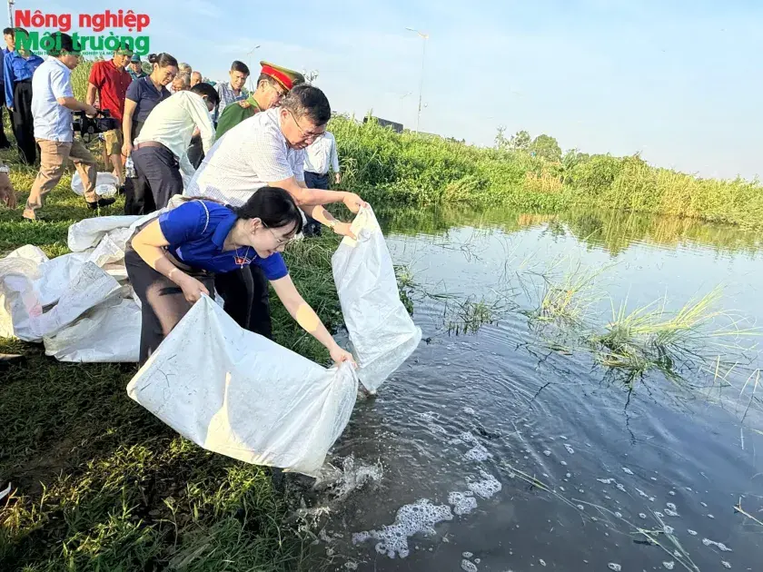 Quảng Ngãi tái tạo nguồn lợi thủy sản, hồi sinh cảnh quan sông Trà Khúc