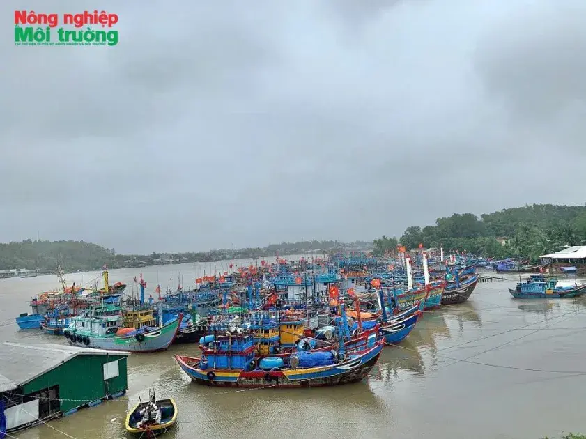 Kỳ 4: Kết nối không gian phát triển từ biển đến cao nguyên