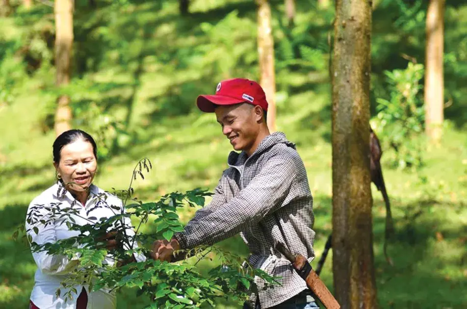 Thị trường carbon và chuyển dịch mô hình kinh tế xanh