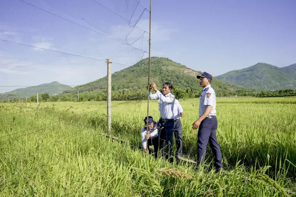 Khánh Hòa siết quản lý, ngăn nạn tận diệt chim yến
