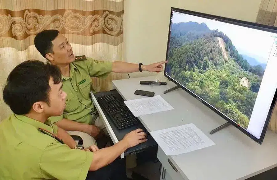 Đẩy mạnh chuyển đổi số trong quản lý lâm nghiệp
