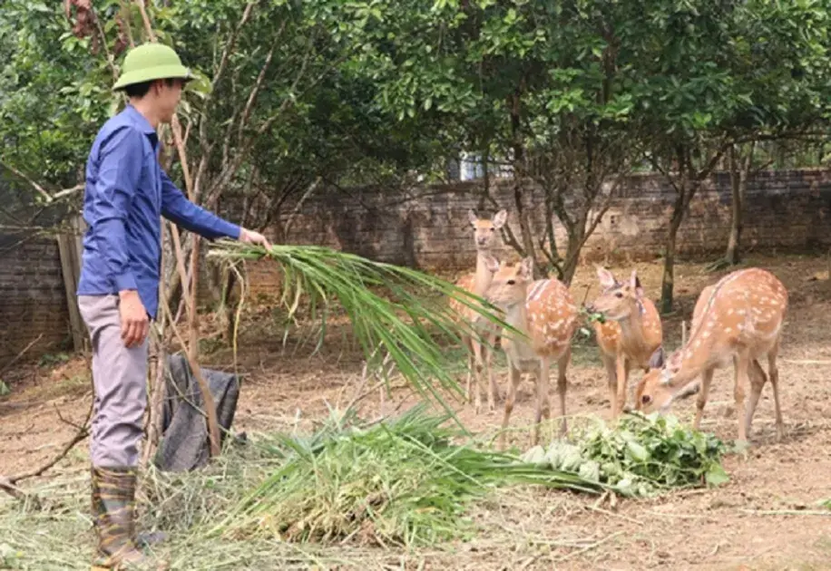Giữ chân người trẻ: Sinh kế bền vững trong nông thôn mới