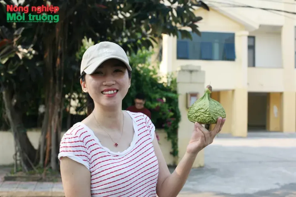 Đặc khu Cồn Cỏ sở hữu tiềm năng bứt phá trên bản đồ du lịch Việt Nam