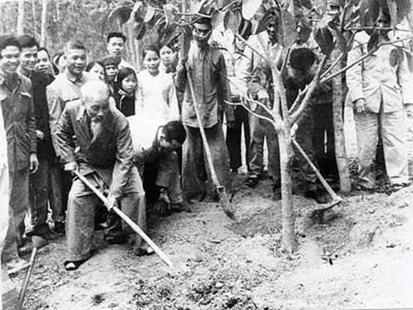 Ngày môi trường thế giới và ngày Bác Hồ ra đi tìm đường cứu nước – Hai sự kiện chung một khát vọng xanh