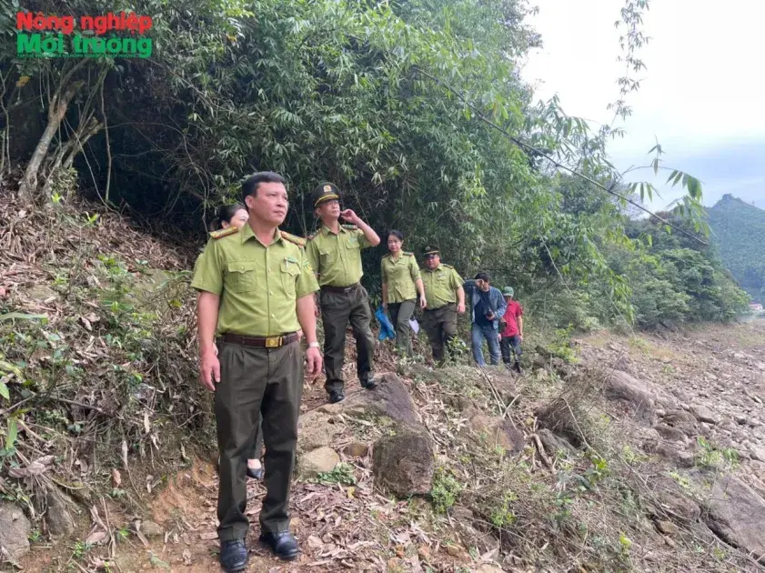 Bài 13: Để "vàng xanh" mãi sinh sôi