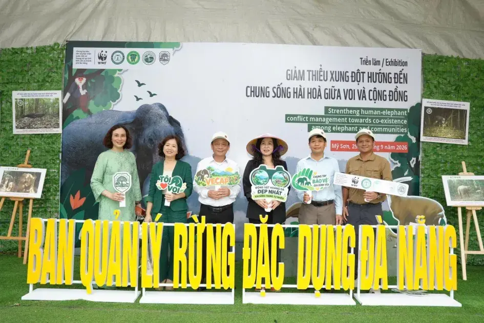 Đà Nẵng đánh thức giá trị văn hóa, mở rộng không gian du lịch