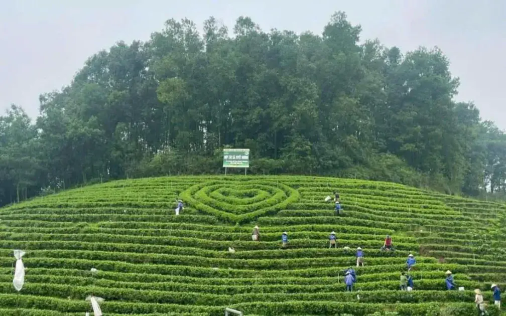 Sản phẩm nông nghiệp tiêu biểu tỉnh Thái Nguyên