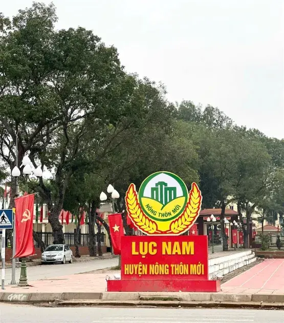 Huyện Lục Nam đạt chuẩn nông thôn mới