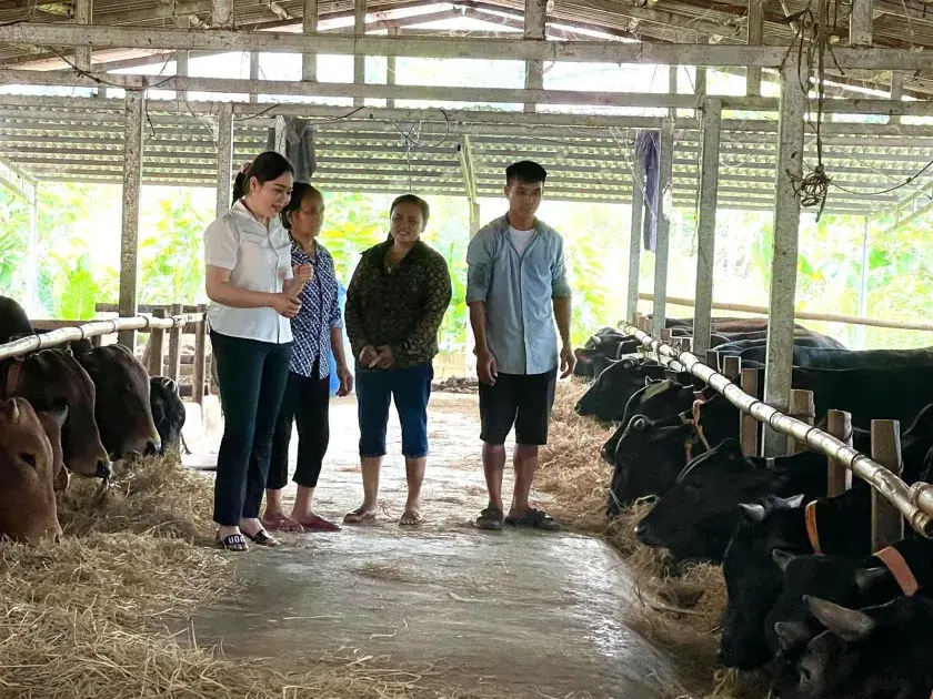 Hợp tác xã Hoàng Thức: Mô hình nông nghiệp đa giá trị gắn với xây dựng nông thôn mới