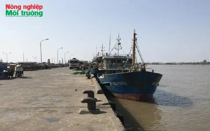 Ninh Bình nâng cao chất lượng dịch vụ hậu cần nghề cá