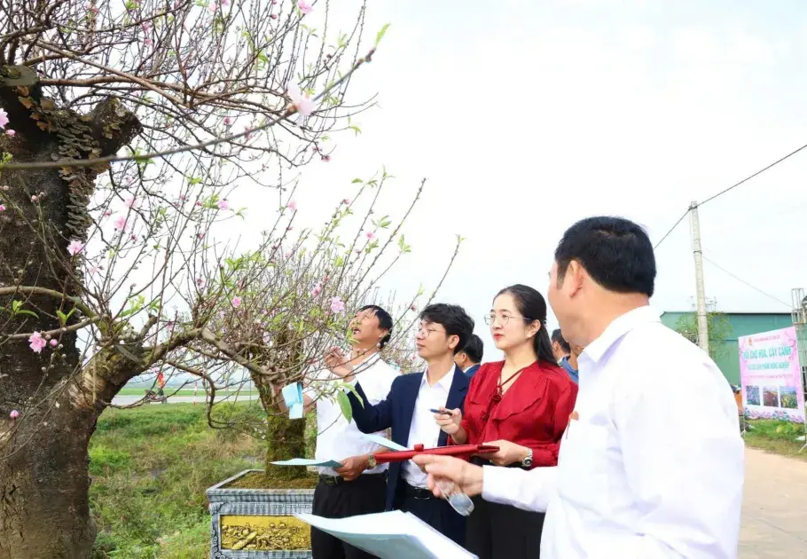 Khai mạc Hội chợ hoa, cây cảnh gắn với phát triển làng nghề Toàn Lưu