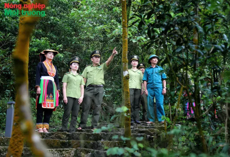 Bắc Ninh: Giữ màu xanh Tây Yên Tử giữa thách thức biến đổi khí hậu