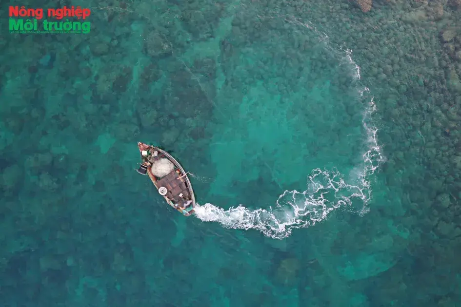 Kỳ 1: Chạm vào sự nguyên sơ – Cồn Cỏ trong nhịp thở của biển