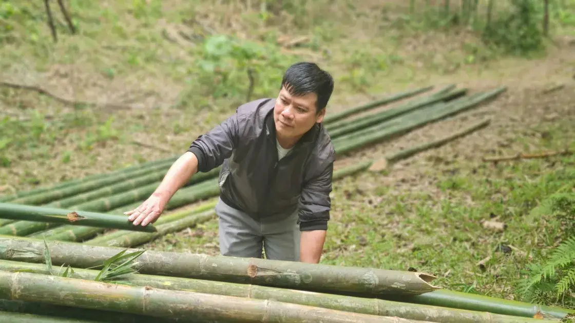 Bảo vệ rừng “trụ cột kép” của môi trường và sinh kế