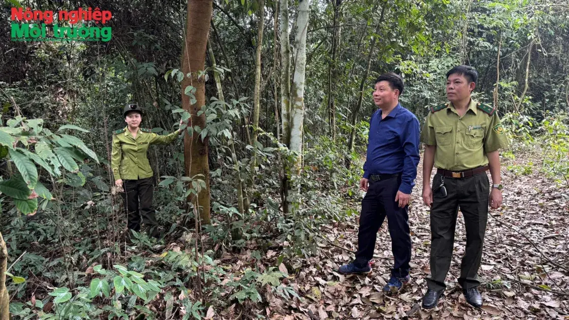 Bài 1: Kiểm lâm Đoan Hùng thực hiện lời dạy của Bác