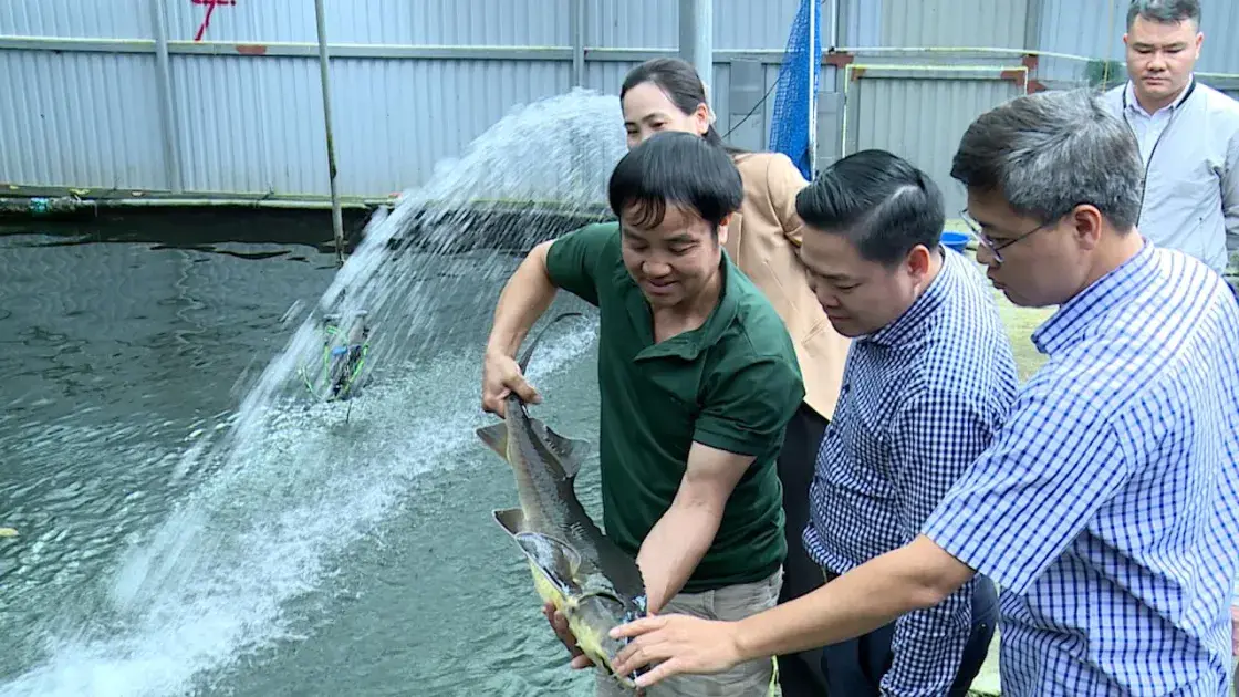 Phát triển thủy sản hồ chứa ở Phú Thọ: Khơi dậy tiềm năng, hướng tới tăng trưởng bền vững