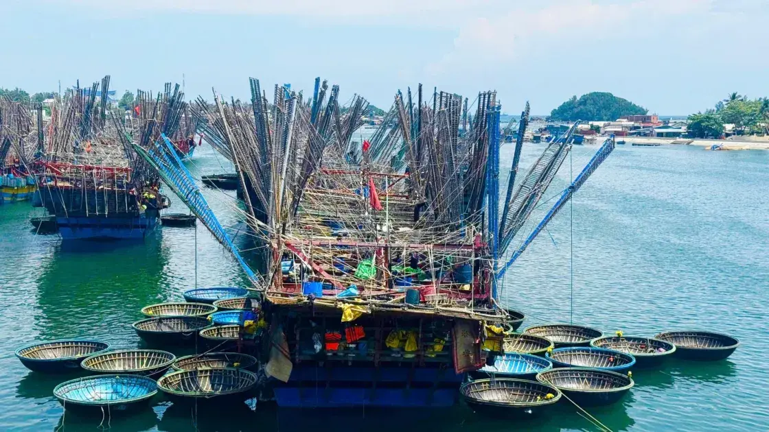 Trúng đậm mực xà, nhiều tàu cá Quảng Ngãi thu bạc tỷ