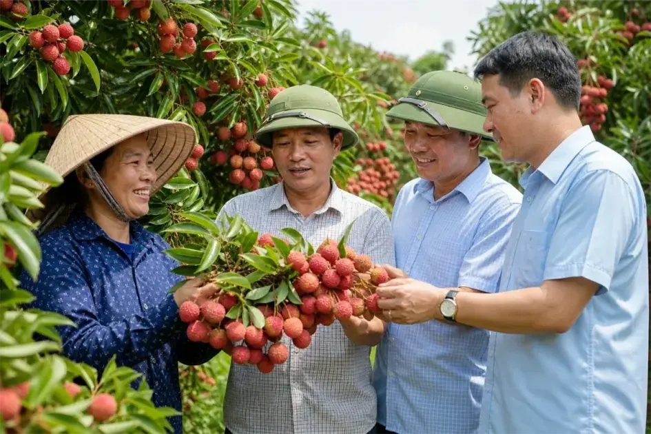 Cơ cấu lại nông nghiệp đạt chuẩn ở Bắc Ninh