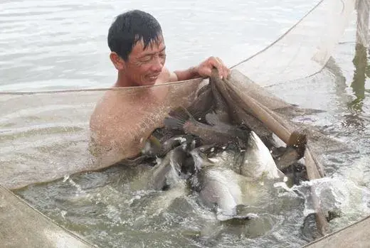 Nghệ An: Chuyển đổi thành công nhiều mô hình nuôi trồng thủy sản mang lại hiệu quả kinh tế cao