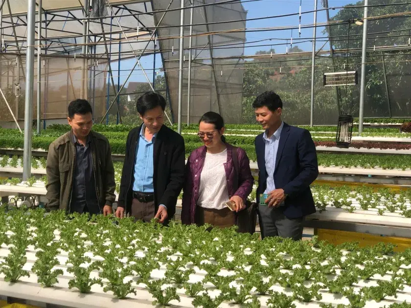 Lâm Đồng: Phấn đấu đến cuối năm 2024 có 100% số xã đạt chuẩn nông thôn mới