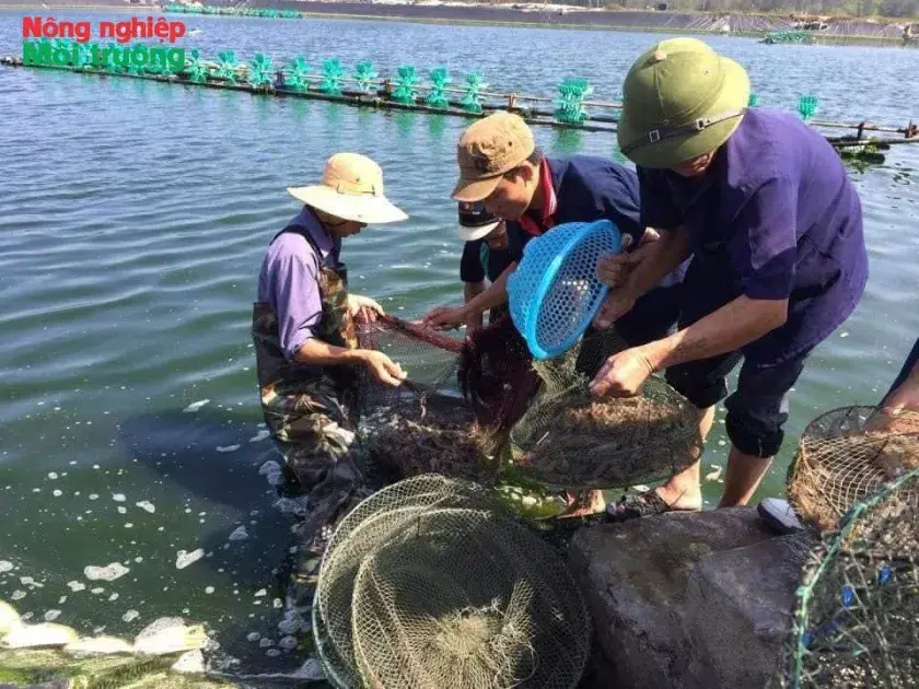 Thạch Sơn - Đẩy mạnh phát triển sản xuất, phấn đấu đạt xã nông thôn mới nâng cao