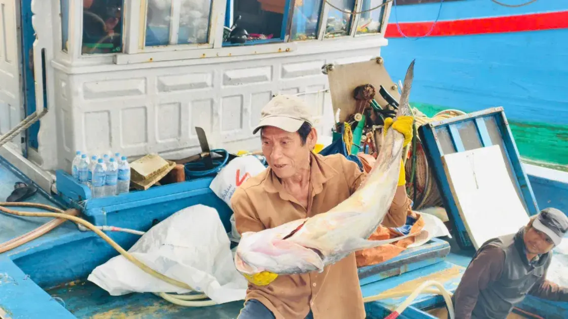 Giá dầu leo thang, ngư dân “cân não” mỗi chuyến ra khơi