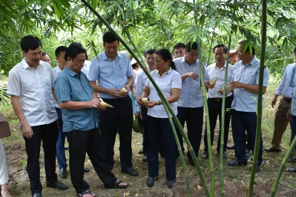 Bắc Giang: Chung sức xây dựng nông thôn mới