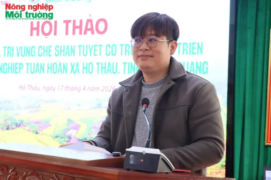 Ông Trần Duy Long: Liên kết nông hộ với du lịch là “chìa khóa vàng” đánh thức tiềm năng chè Shan Tuyết Hồ Thầu