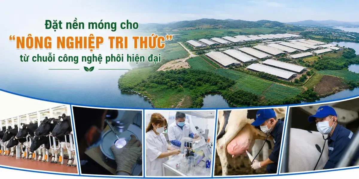 Bài 2: Đặt nền móng cho “nông nghiệp tri thức” từ chuỗi công nghệ phôi hiện đại