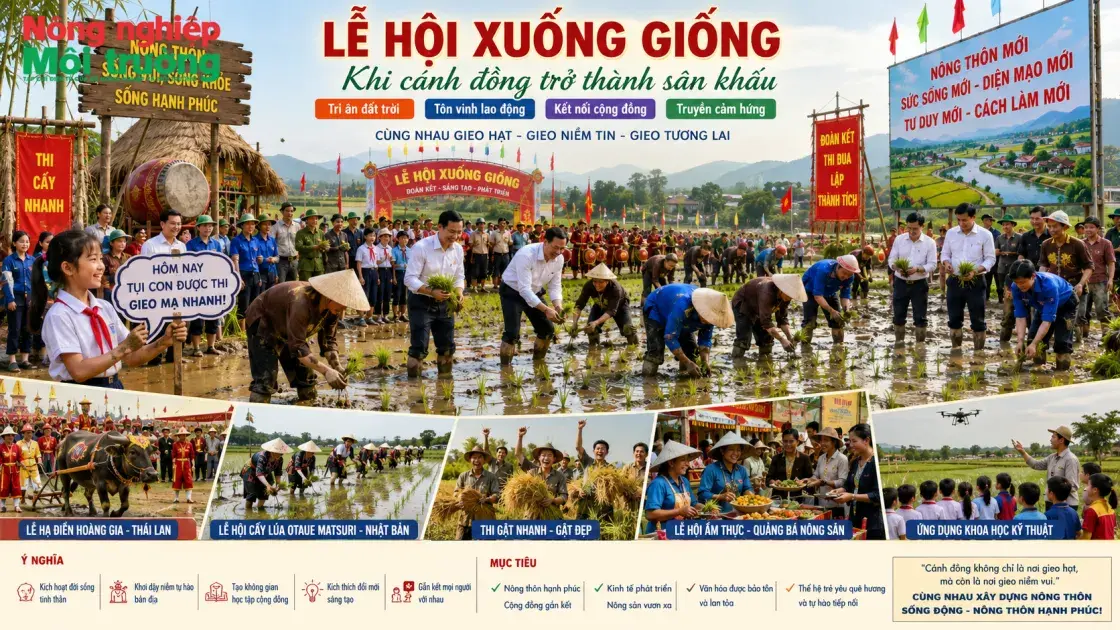 Khi cánh đồng trở thành sân khấu
