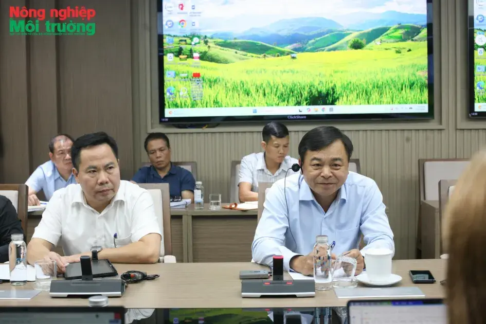 Hợp tác triển khai các dự án quy mô lớn, có tác động lan tỏa