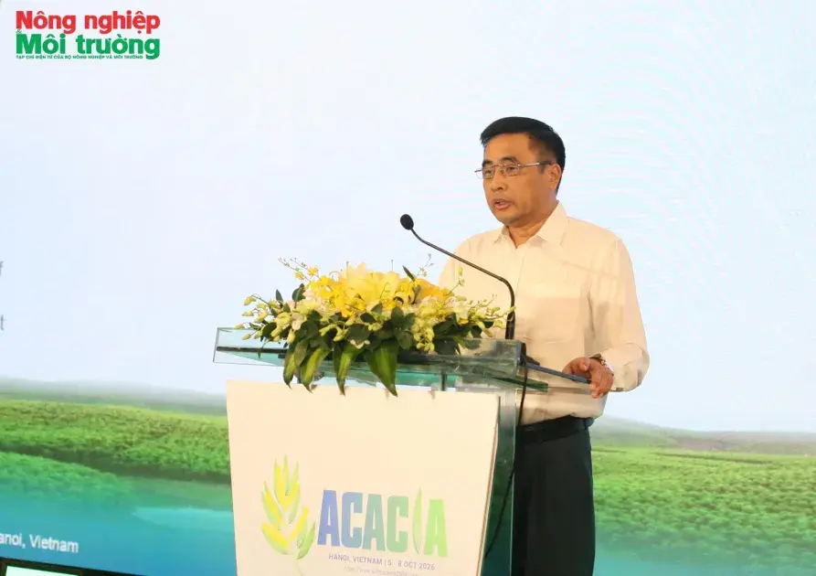 Giải pháp nào nâng cao chuỗi giá trị cây keo bền vững
