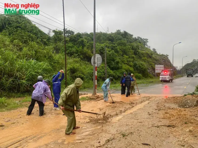 Quảng Ngãi: Mưa lớn gây ngập và sạt lở