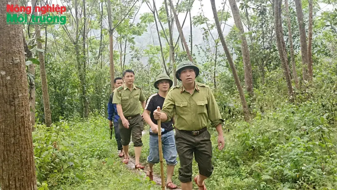 Nắng nóng kéo dài, Nghệ An nâng cảnh báo cháy rừng lên mức nguy hiểm