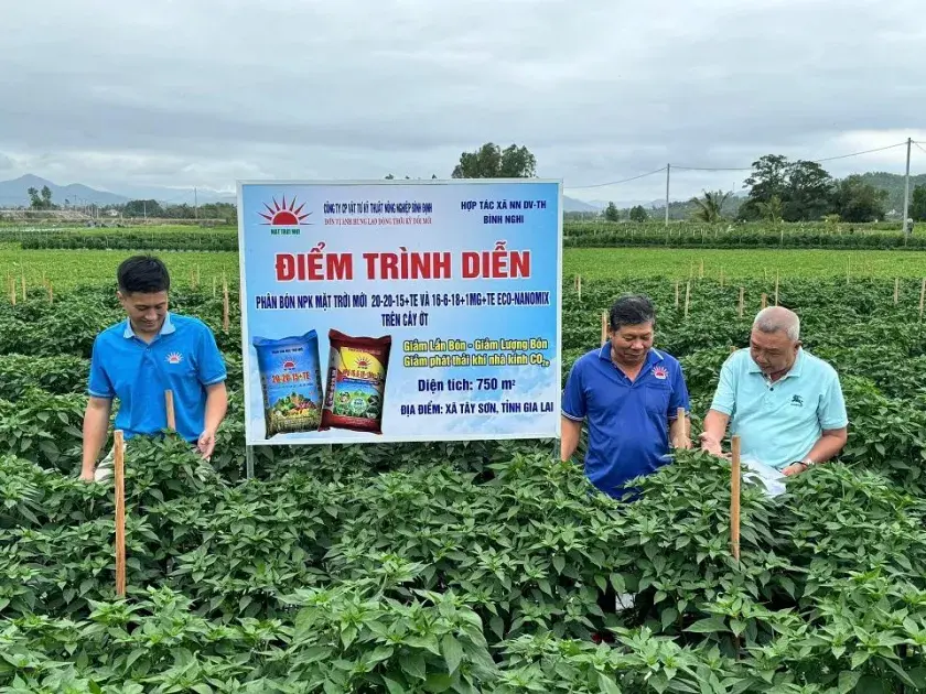 Gia Lai: Mô hình ớt ứng dụng phân bón NPK thế hệ mới cho hiệu quả kinh tế và môi trường vượt trội