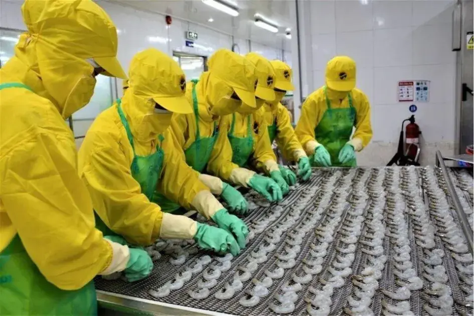 Cần Thơ và Cà Mau: “Tiếp lửa” cho mục tiêu xuất khẩu nông lâm thủy sản 74 tỷ USD